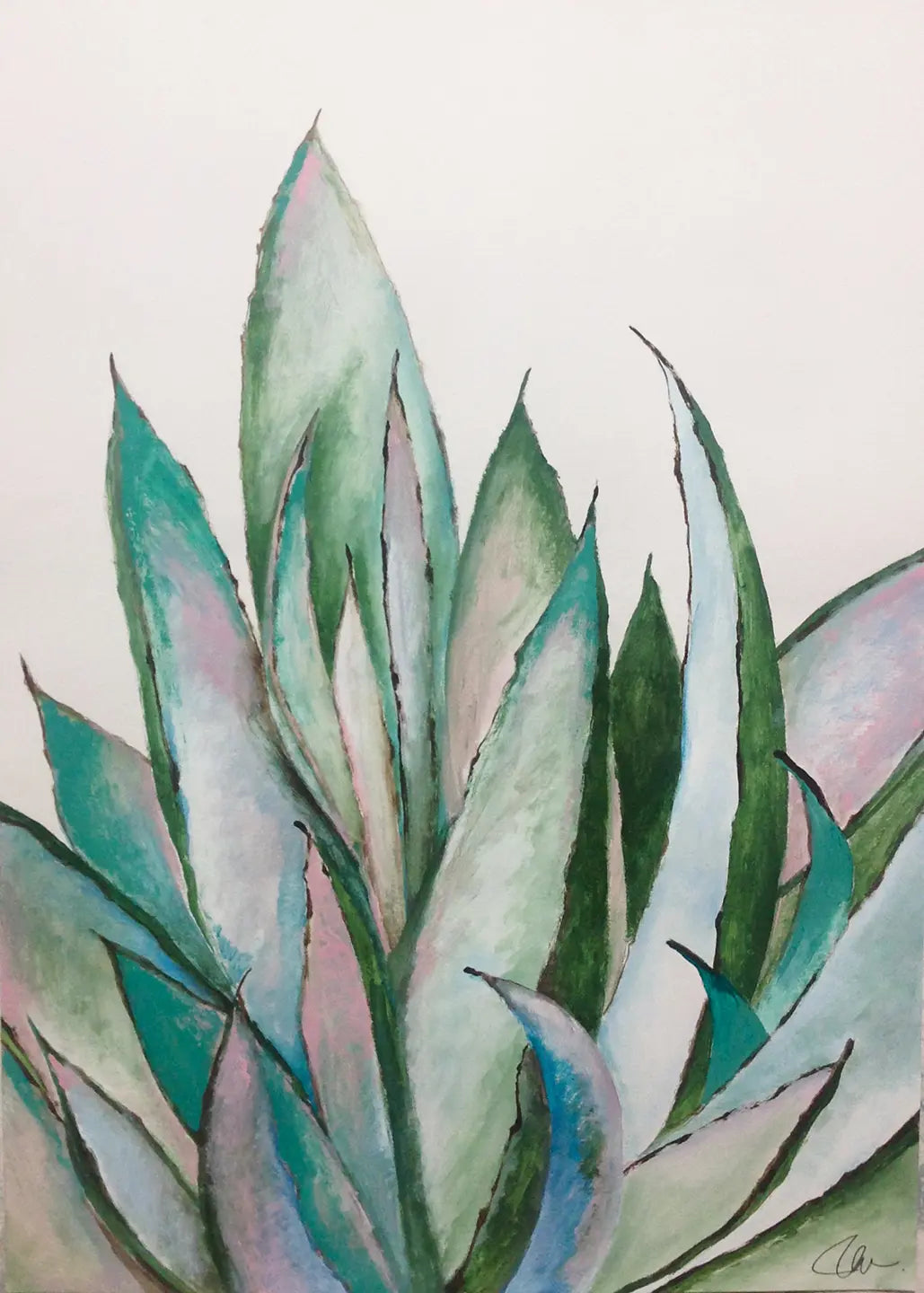 Aloe Succulent - 2018
