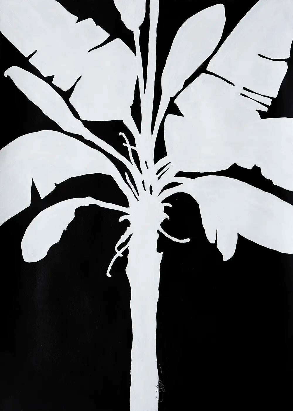 Banana Palm l - 2022