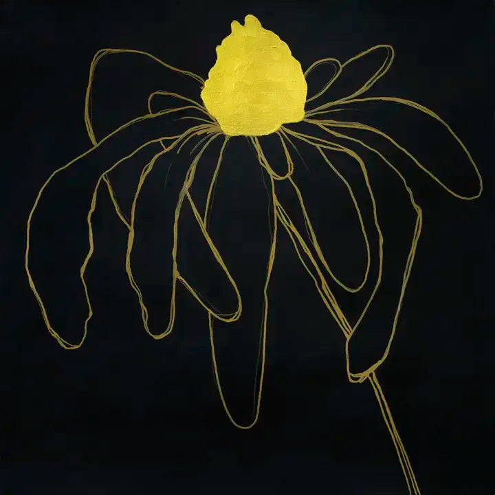 Black Gold Daisy 4 - 2014