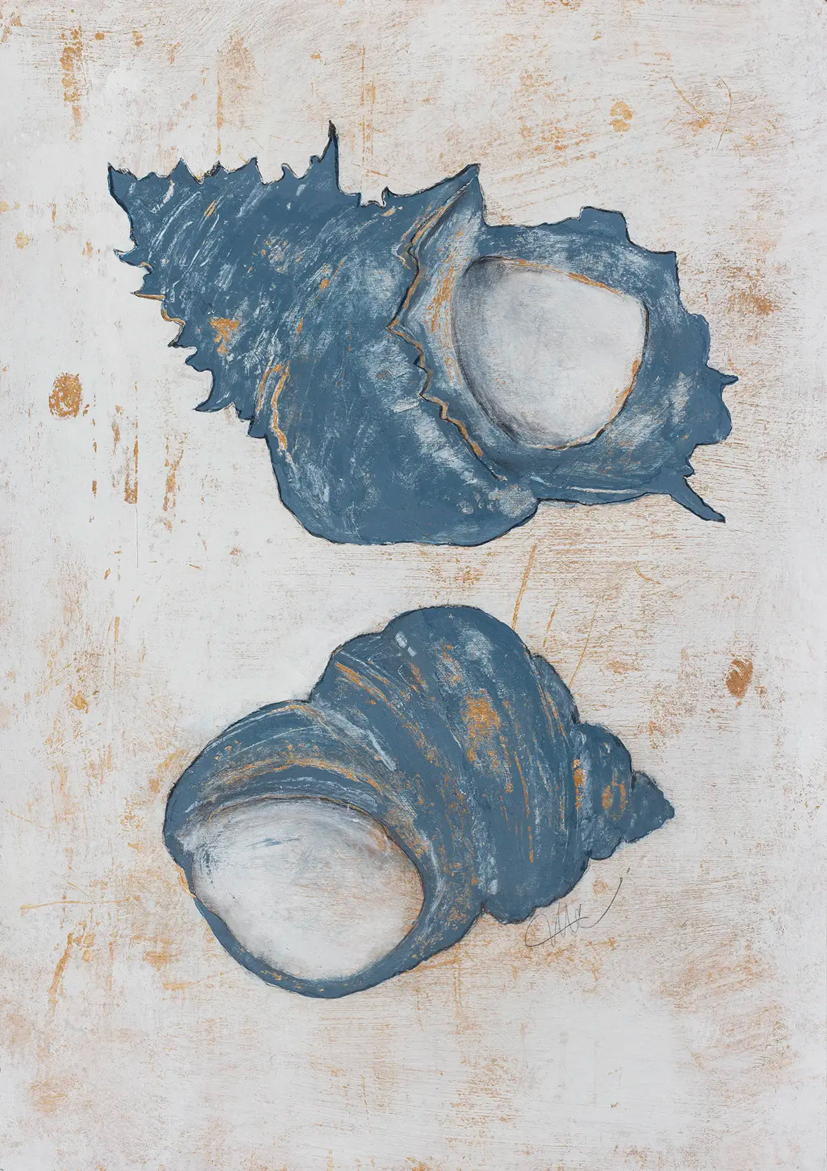 Coastal Conch - Turban - 2024