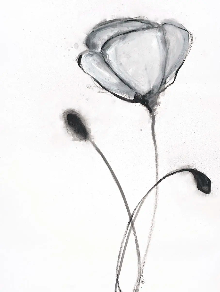 Snow Bloom 2 - 2016