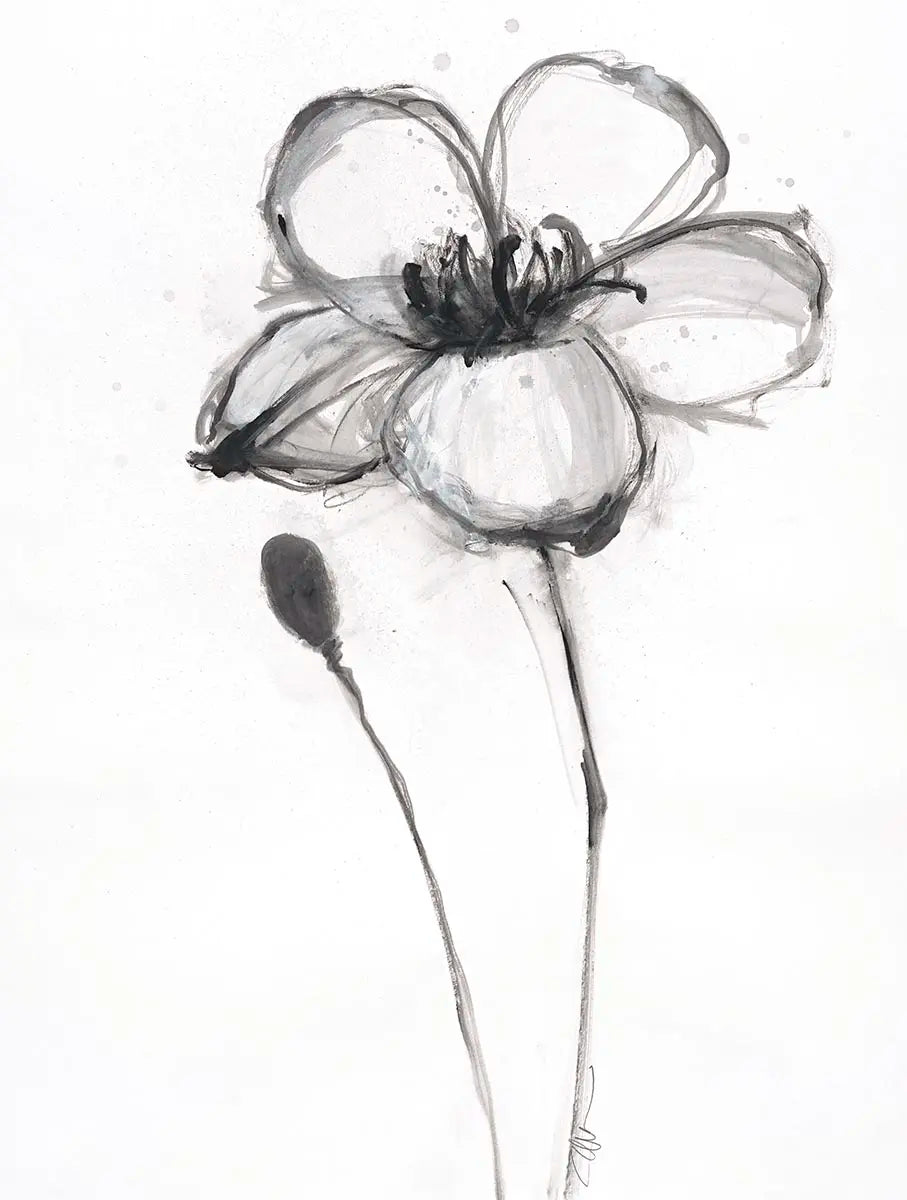 Snow Blossom 3 - 2016