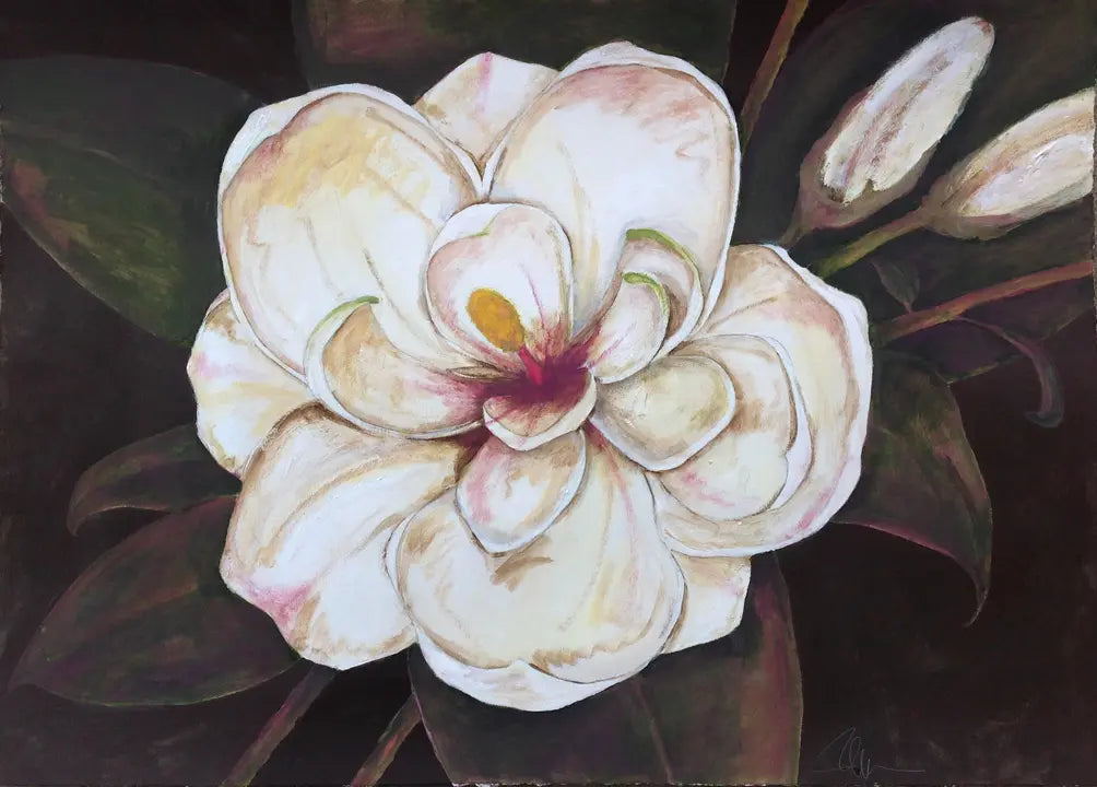 Southern Magnolia - 2016