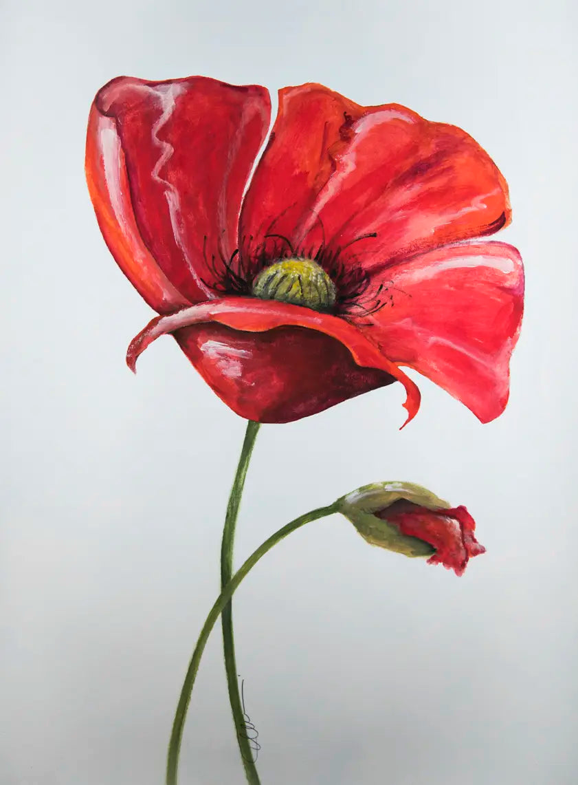 Wild Poppy - 2016