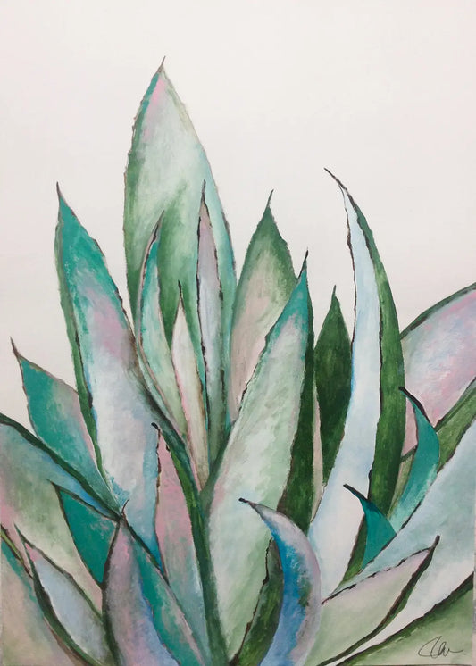 Aloe Succulent - 2018