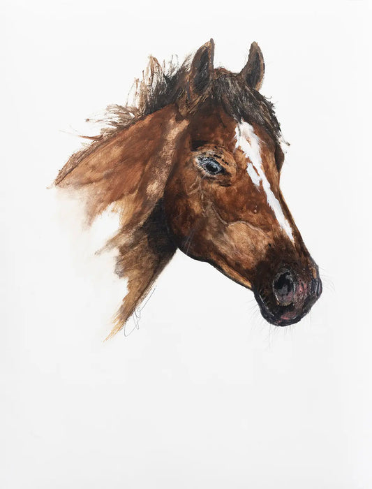 Brown Horse - 2024