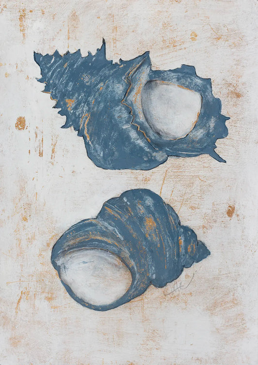 Coastal Conch - Turban - 2024