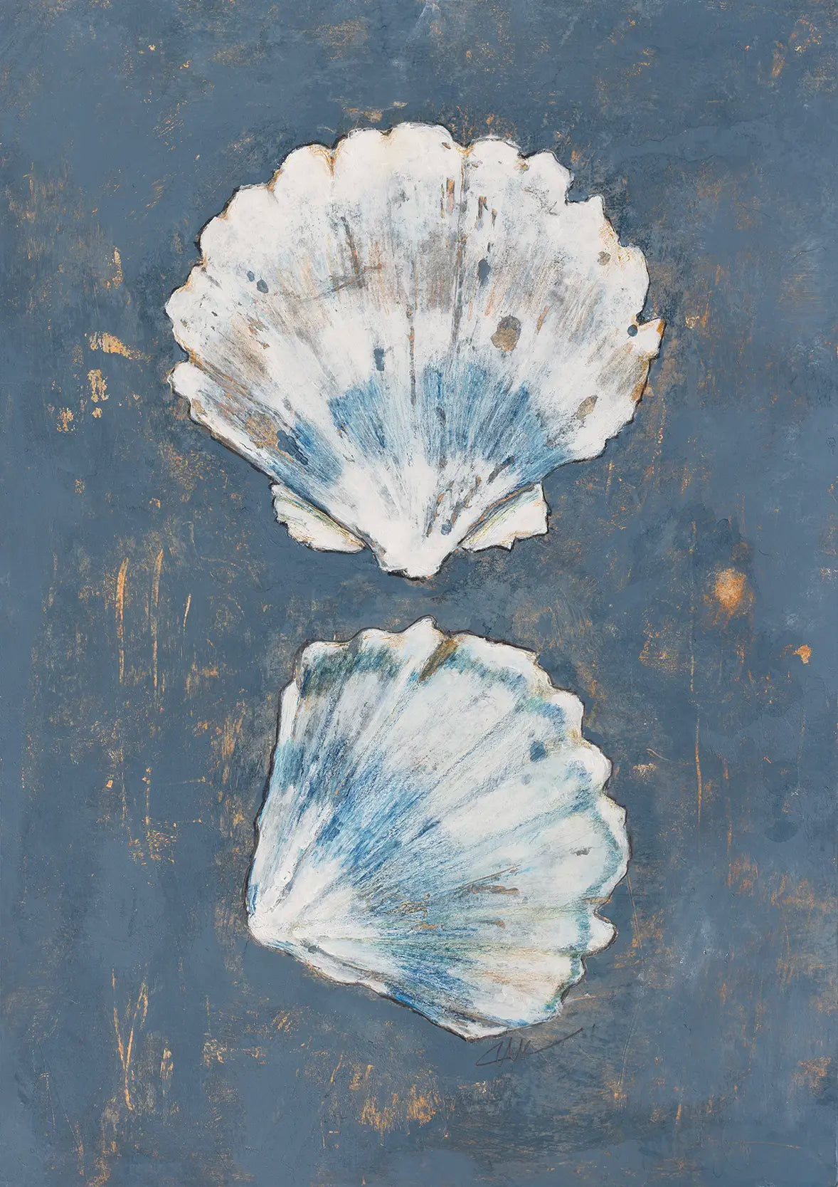 Coastal Sea Shells - 2024