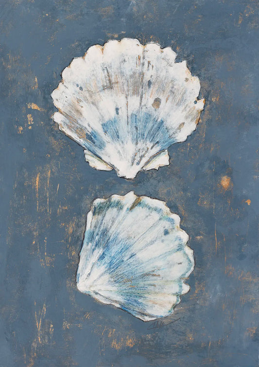 Coastal Sea Shells - 2024