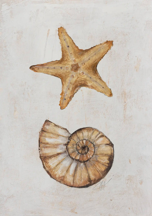 Coastal Starfish - Nautilus - 2024