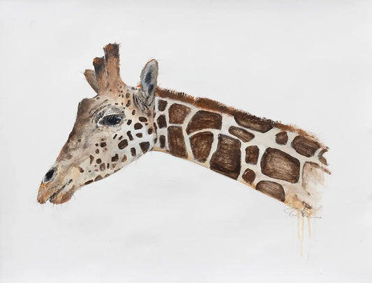 Giraffe - 2024