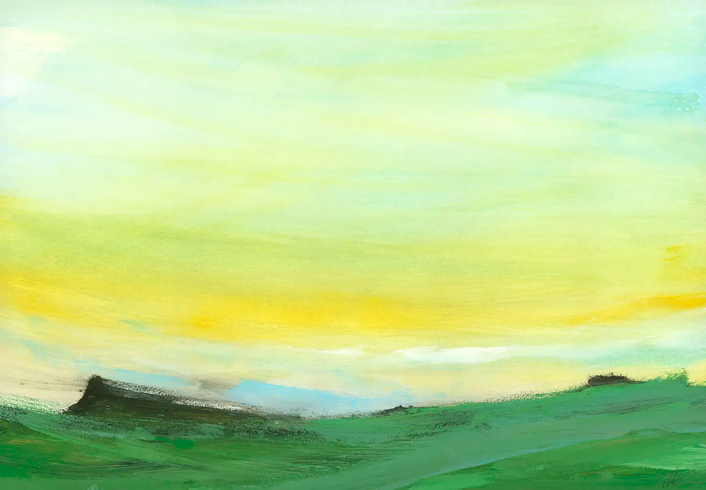 Grass Lands - 2015