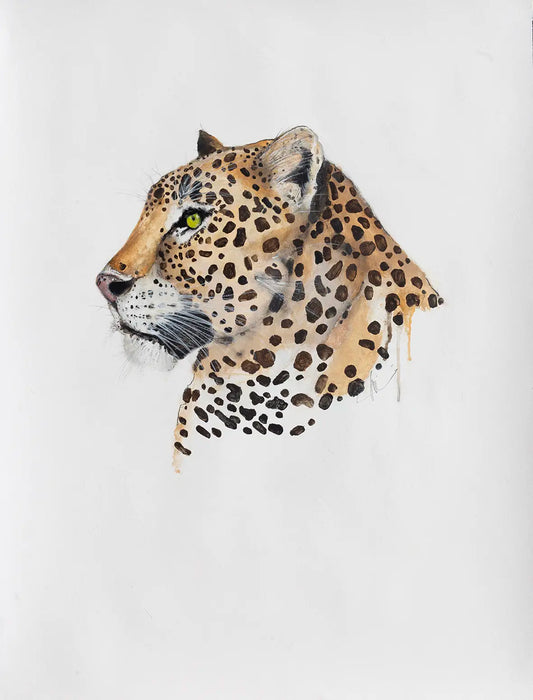 Leopard - 2024