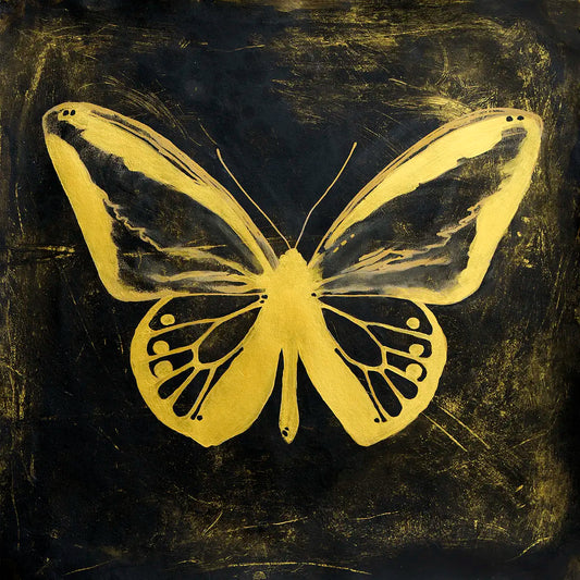 Midnight Butterfly - 2014