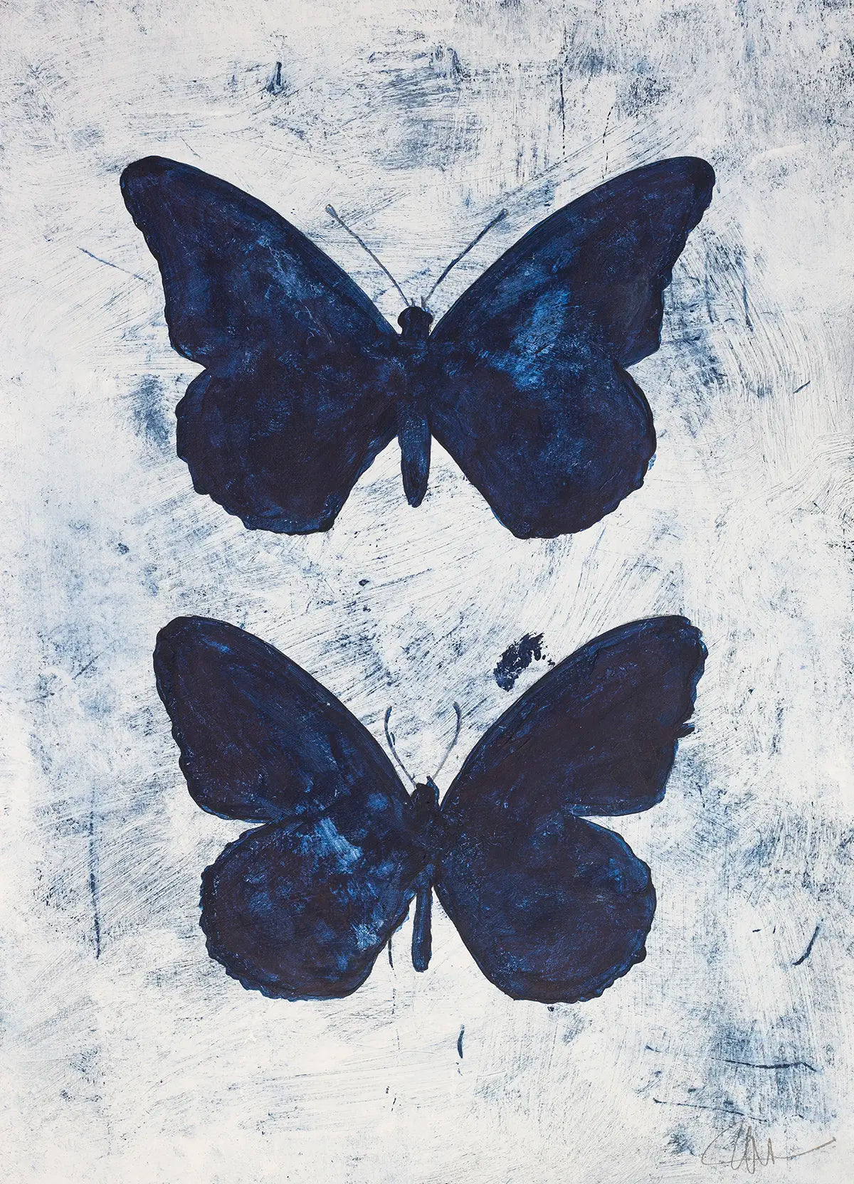 Midnight Butterfls - 2024