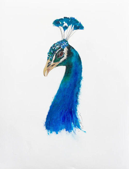 Peacock - 2024