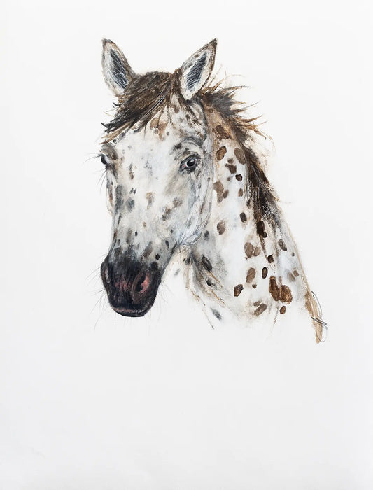Spotted Horse - 2024